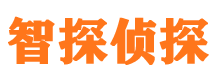 黟县侦探公司